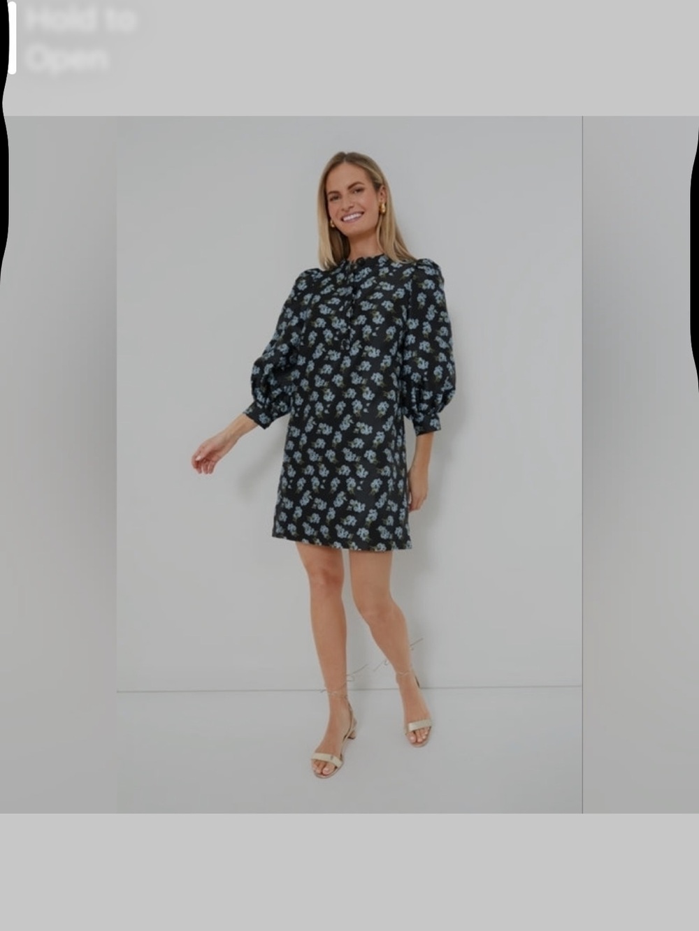 Pomander Place Black Heirloom Jacquard Samantha Dress - Picture 8 of 8